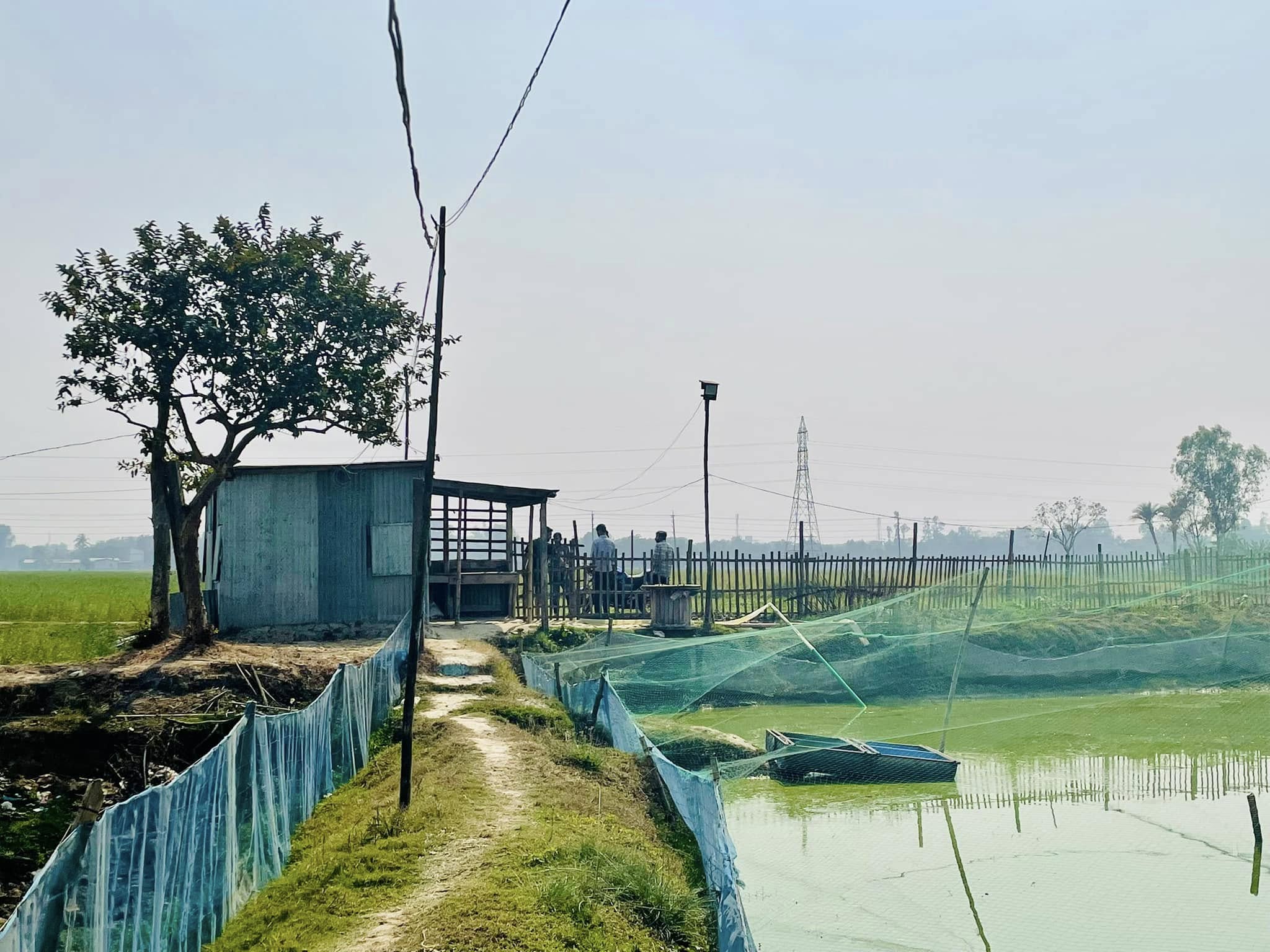 A small walking path leading to a shed near a fish farm with green nets.